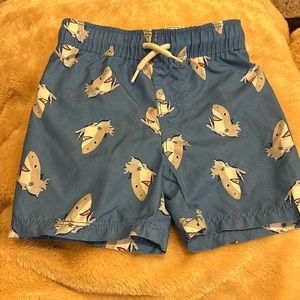 18-24M Boys Swim Trunks